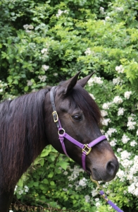 betty-6-27-18
