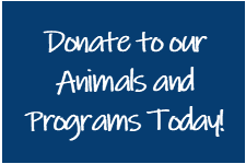 donatetodaybutton