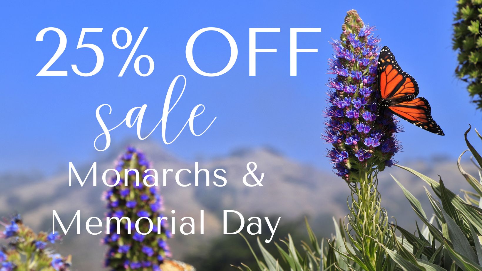 monarch sale