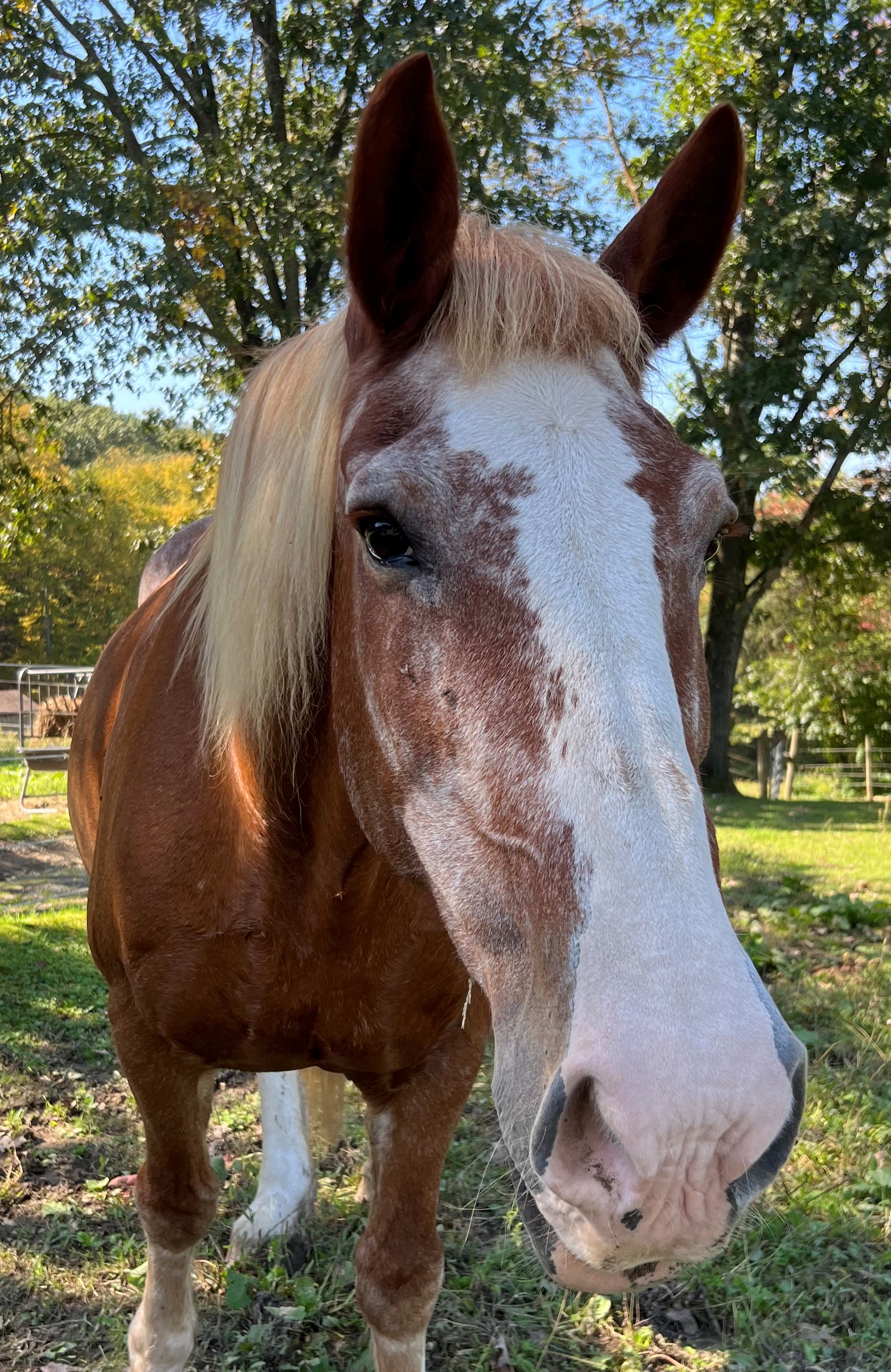 Benny 03Oct23